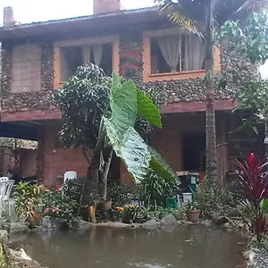 Bosques Del Rio , Medellín Colombia